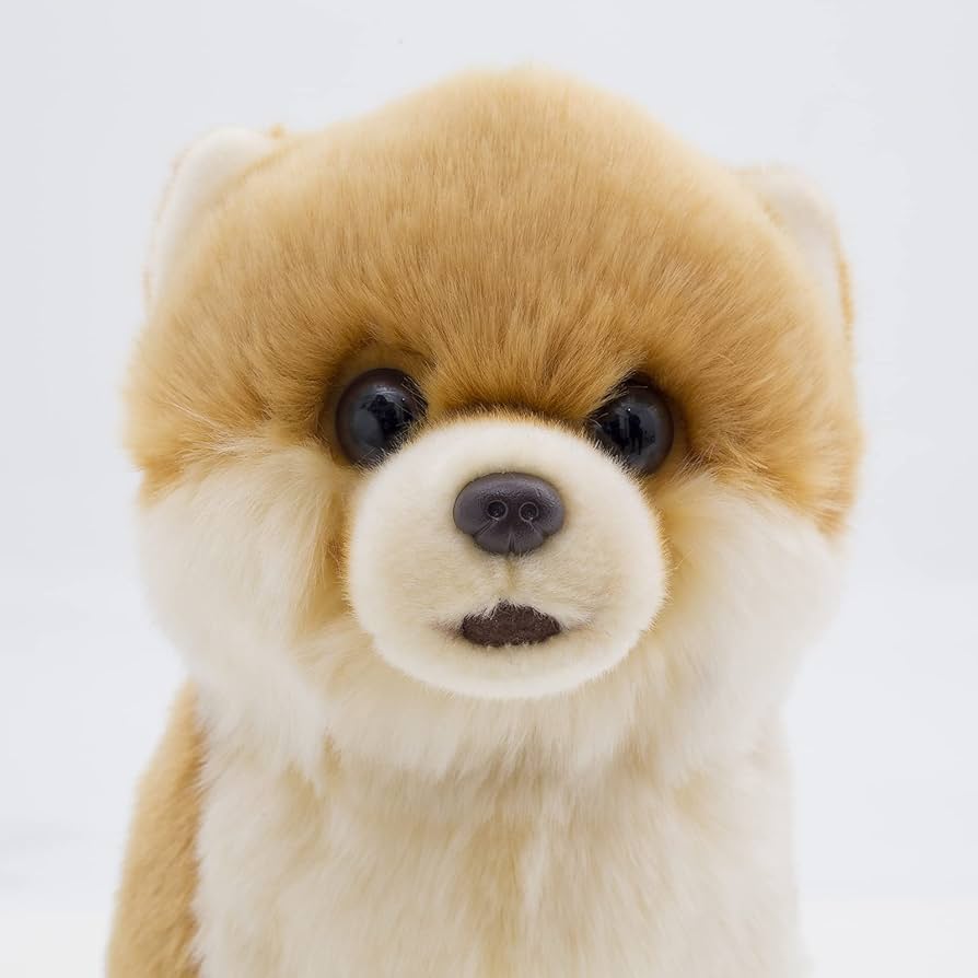 ポメラニアン　ぬいぐるみ　CU-MATE 30cm リアル Amazon.co.jp: 30cmポメラニアンぬいぐるみ リアルな子犬